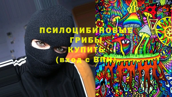спиды Горнозаводск