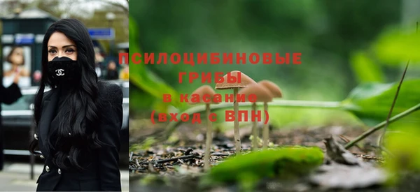мяу мяу мука Вязьма