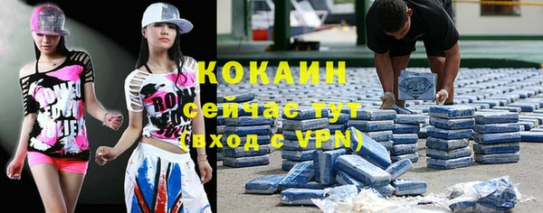 a pvp Горняк