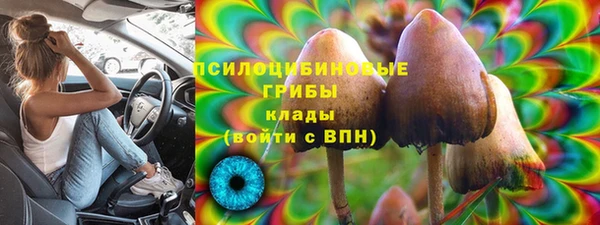 амф Горно-Алтайск